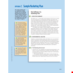Marketing Plan Executive Summary Sample example document template
