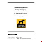 Financial Analysis example document template 