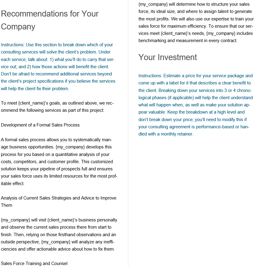 consulting proposal instructions template example