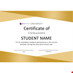 Student University Certificate example document template