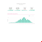 Daily Report example document template