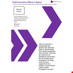 Chief Executive Report Template example document template