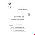 Example of Test Report for Voltage, Battery, Cells, and Batteries example document template
