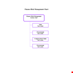 Finance Risk Management Chart Template example document template