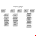 Risk Management Organizational Chart Template example document template 
