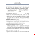 Chief Finance Officer Resume example document template