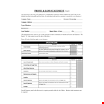 Profit And Loss Statement Form For Small Business example document template