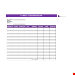 Debt Payment Schedule example document template