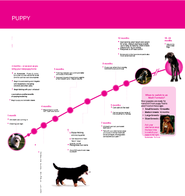 puppy growth chart