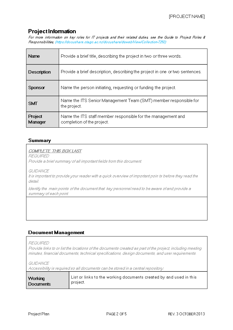 project plan template in word example