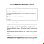 Offer Rejection Email Letter example document template 
