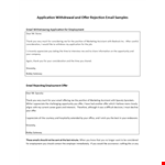 Offer Rejection Email Letter example document template