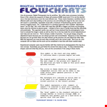 Digital Photography Workflow: Streamline Your Process with our Image Color Flow Chart Template example document template