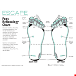 Discover the Healing Powers of Foot Reflexology - Free Chart Included | BeautiControl example document template