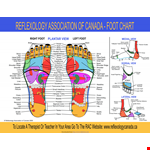 Discover the Benefits of Foot Reflexology with our Chart | Relieve Shoulder & Sciatic Pain example document template