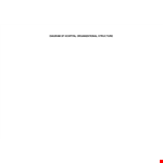 Hospital Organizational Chart example document template