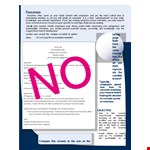 It Work Experience Resume example document template