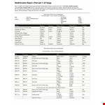Retail Inventory Report example document template