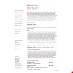 Free Senior Executive Resume example document template