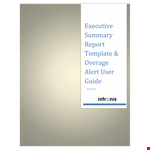 Daily Executive Example example document template
