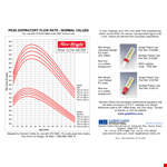 Peak Expiratory Flow Chart example document template