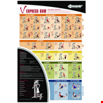 Gym Exercise example document template