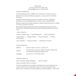 Experienced Resume Format For It Professionals example document template