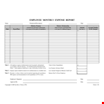 Employee Monthly Expense Report example document template