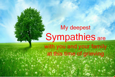 Sympathy Message Template - Expressing Deepest Sympathies to the Family