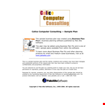 Computer Consulting Business Plan Template example document template