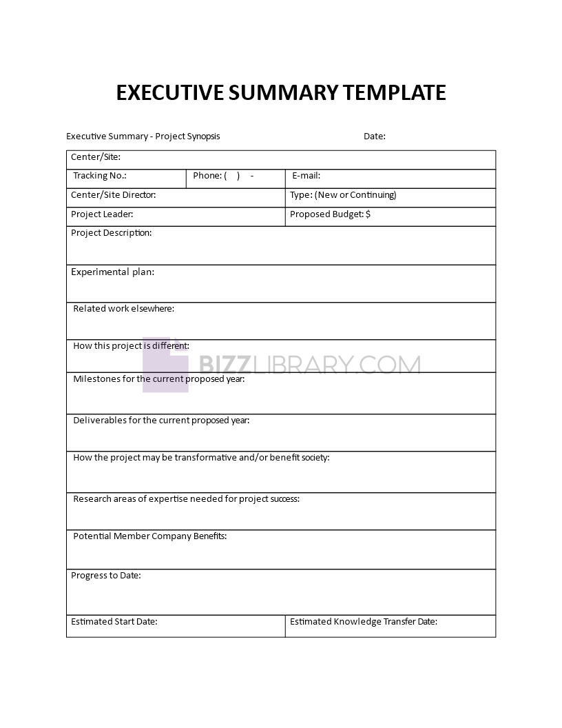 Executive Summary Form Template executive-summary-form-template