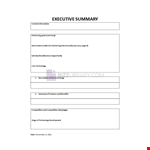 Management Executive Summary example document template 