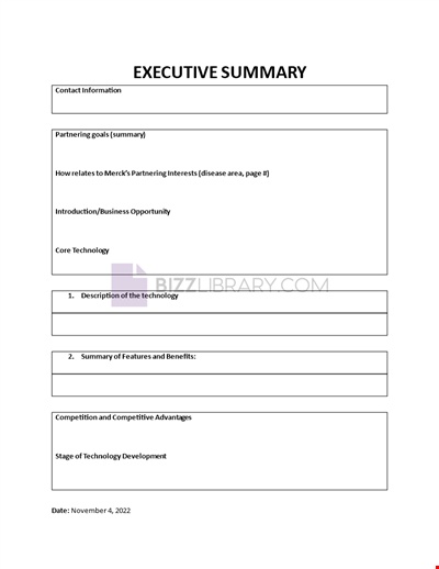 Management Executive Summary