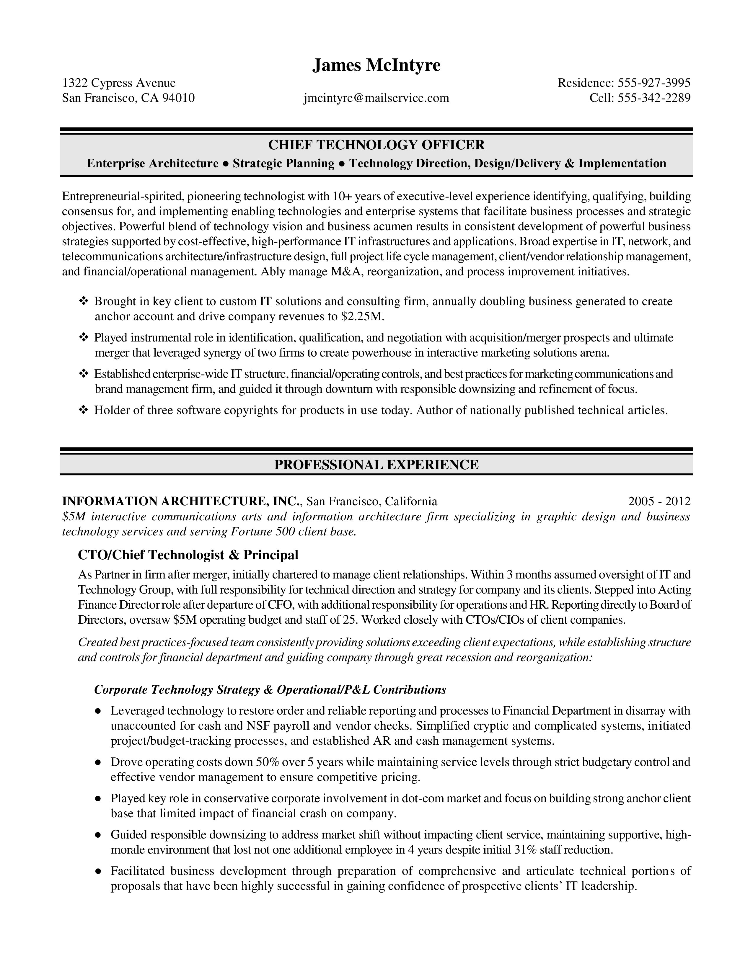 It Executive Resume Example