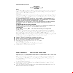Project Finance Analyst Resume example document template