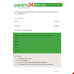 Create Your Perfect Birth Plan: Hospital Birth, Partner Support, and All Possibilities example document template 