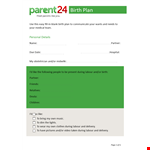 Create Your Perfect Birth Plan: Hospital Birth, Partner Support, and All Possibilities example document template