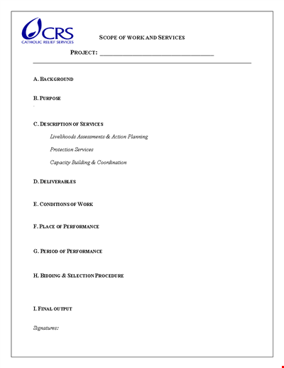 Scope of Work Template - Project Performance and Services