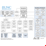 Large Hospital Organizational Chart Template example document template
