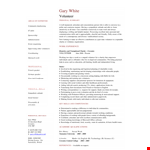 Volunteer Social Work Resume example document template