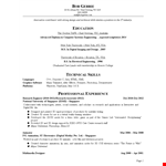 Modern Technical Resume Example example document template