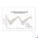 Natural Gas Storage Projections for Effective Energy Management example document template