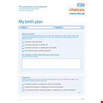 Pregnancy Birth Plan Template - Create a personalized plan for your birth and labour journey example document template