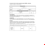 Safety Audit Report example document template