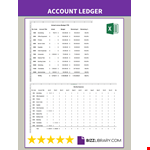 Accounting ledger template example document template