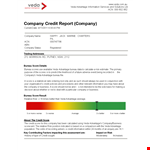 Company Credit Report | Get Comprehensive Credit Information example document template