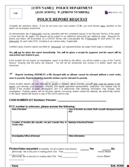 Professional Police Report Template