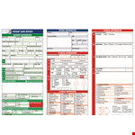 Nursing Patient Report Template - Streamline Documentation Effort example document template