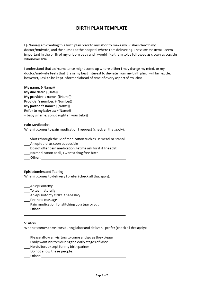 birth plan template