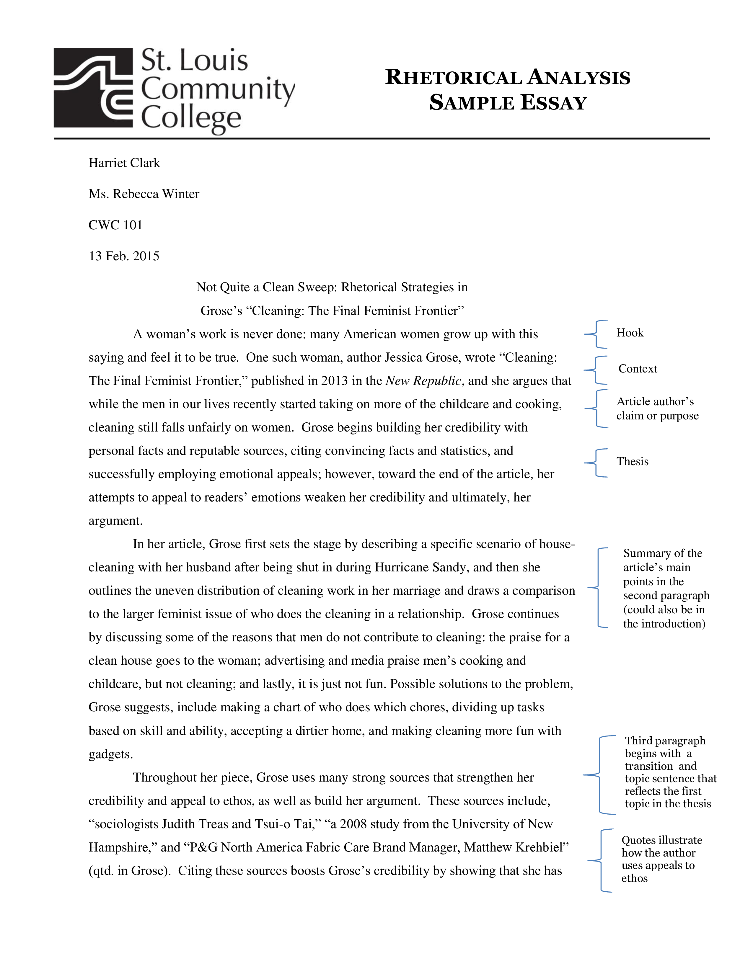 Sample Rhetorical Analysis Essay A Comprehensive Cleaning Guide With sample-rhetorical-analysis-essay-a-comprehensive-cleaning-guide-with